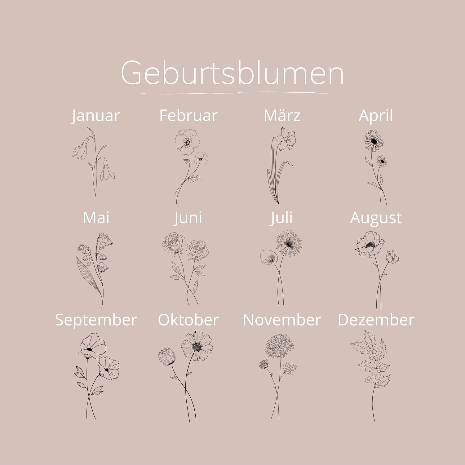 August Geburtsblume